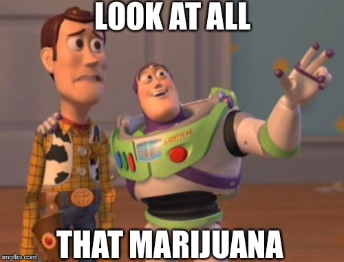 X, X Everywhere | LOOK AT ALL; THAT MARIJUANA | image tagged in memes,x x everywhere | made w/ Imgflip meme maker