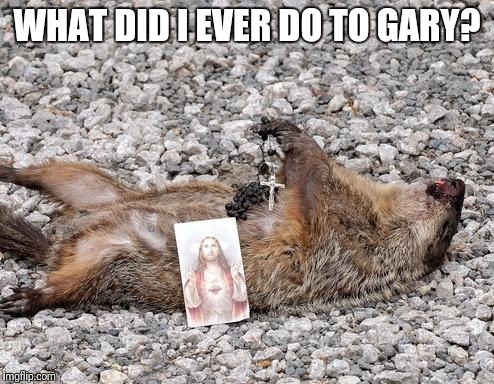 Dead groundhog | WHAT DID I EVER DO TO GARY? | image tagged in dead groundhog | made w/ Imgflip meme maker