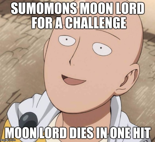 One Punch Man | SUMOMONS MOON LORD FOR A CHALLENGE; MOON LORD DIES IN ONE HIT | image tagged in one punch man | made w/ Imgflip meme maker