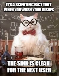 SMART CAT | IT'S A SCIENTIFIC FACT THAT WHEN YOU WASH YOUR DISHES; THE SINK IS CLEAN FOR THE NEXT USER | image tagged in smart cat | made w/ Imgflip meme maker
