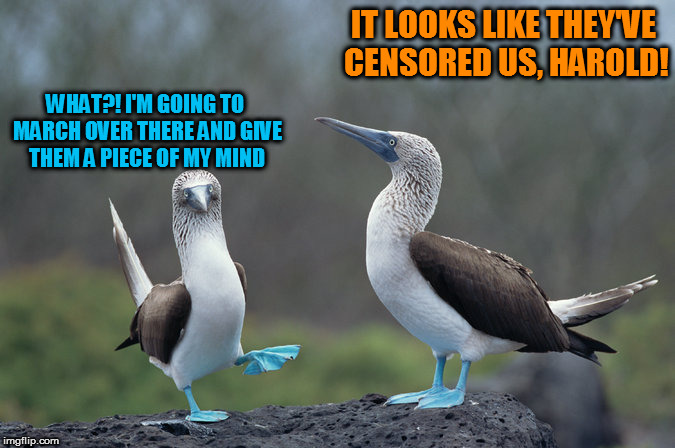 IT LOOKS LIKE THEY'VE CENSORED US, HAROLD! WHAT?! I'M GOING TO MARCH OVER THERE AND GIVE THEM A PIECE OF MY MIND | made w/ Imgflip meme maker