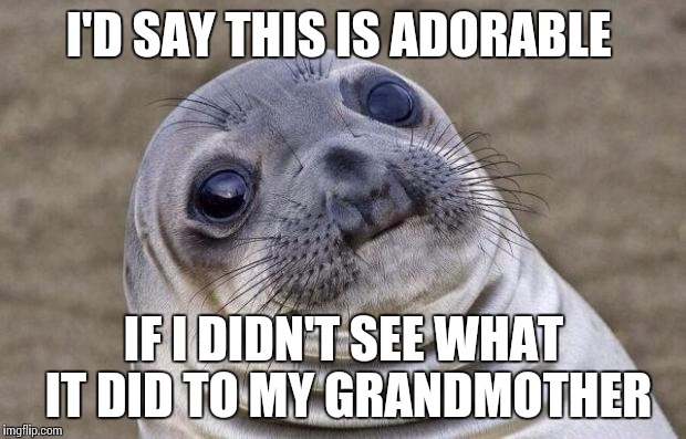 Awkward Moment Sealion Meme | I'D SAY THIS IS ADORABLE; IF I DIDN'T SEE WHAT IT DID TO MY GRANDMOTHER | image tagged in memes,awkward moment sealion | made w/ Imgflip meme maker
