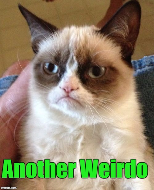 Grumpy Cat Meme | Another Weirdo | image tagged in memes,grumpy cat | made w/ Imgflip meme maker