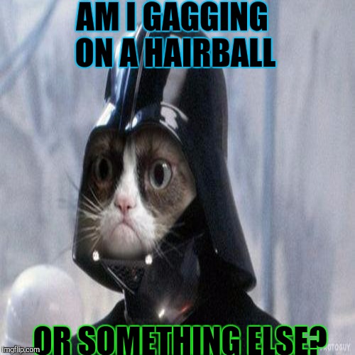 AM I GAGGING ON A HAIRBALL OR SOMETHING ELSE? | made w/ Imgflip meme maker