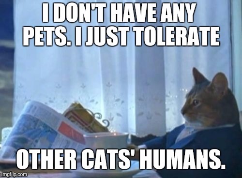 U R now entering...The Twicat Zone. :D (Yes. That IS horrible.) :D | image tagged in funny,animals,cats,humor,pets,memes | made w/ Imgflip meme maker