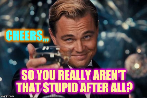 Leonardo Dicaprio Cheers Meme | CHEERS,,, SO YOU REALLY AREN'T THAT STUPID AFTER ALL? | image tagged in memes,leonardo dicaprio cheers | made w/ Imgflip meme maker