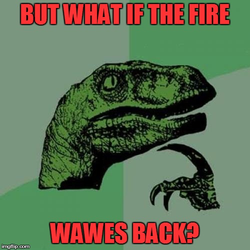 Philosoraptor Meme | BUT WHAT IF THE FIRE WAWES BACK? | image tagged in memes,philosoraptor | made w/ Imgflip meme maker