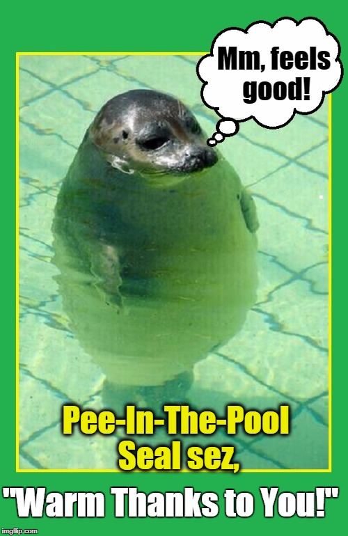 Pee-In-The-Pool Seal | Mm, feels good! Pee-In-The-Pool Seal sez, "Warm Thanks to You!" | image tagged in vince vance,thank you,thanks,warm thanks,urination,pee pee | made w/ Imgflip meme maker