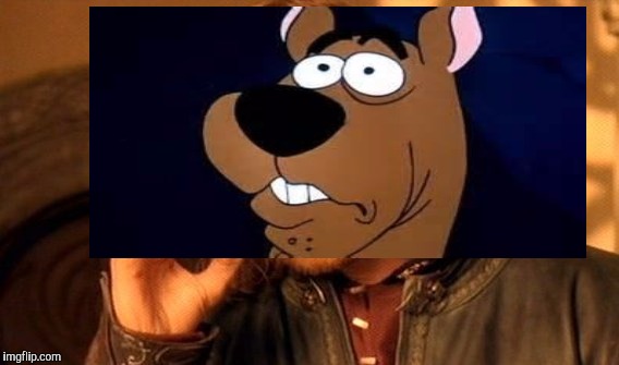 When you realize there will be no Scooby Snacks until after the ring is destroyed. :D | image tagged in funny,one does not simply,lord of the rings,memes,dogs,animals | made w/ Imgflip meme maker