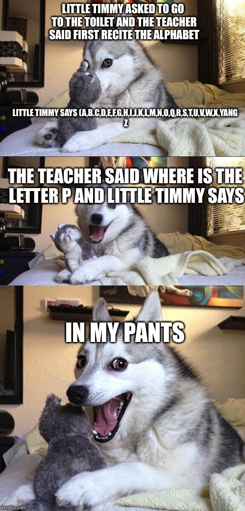 Bad Pun Dog Meme | LITTLE TIMMY ASKED TO GO TO THE TOILET AND THE TEACHER SAID FIRST RECITE THE ALPHABET; LITTLE TIMMY SAYS (A,B.C,D,E,F,G,H,I,J,K,L,M,N,O,Q,R,S,T,U,V,W,X,YANG Z; THE TEACHER SAID WHERE IS THE LETTER P AND LITTLE TIMMY SAYS; IN MY PANTS | image tagged in memes,bad pun dog | made w/ Imgflip meme maker