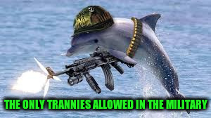 THE ONLY TRANNIES ALLOWED IN THE MILITARY | made w/ Imgflip meme maker