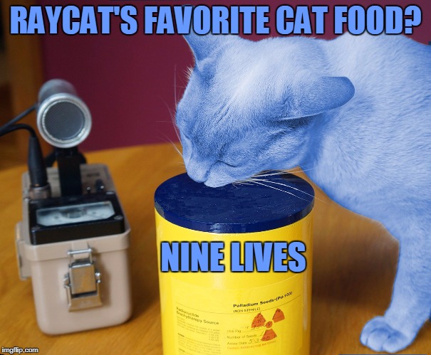 RayCat eating | RAYCAT'S FAVORITE CAT FOOD? NINE LIVES | image tagged in raycat eating,memes,raycat | made w/ Imgflip meme maker