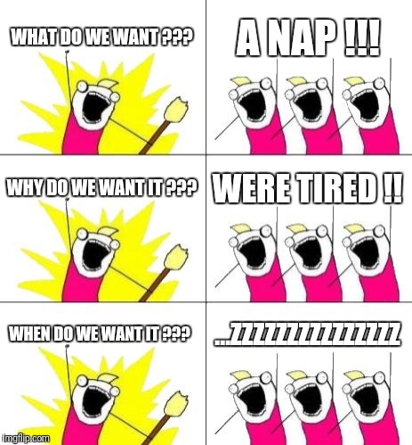 It's Z Nap Time !!! | WHAT DO WE WANT ??? A NAP !!! WHY DO WE WANT IT ??? WERE TIRED !! WHEN DO WE WANT IT ??? ...ZZZZZZZZZZZZZZZ | image tagged in memes,what do we want 3,nap,nap time,so tired,sick  tired | made w/ Imgflip meme maker