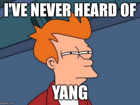 Futurama Fry Meme | I'VE NEVER HEARD OF YANG | image tagged in memes,futurama fry | made w/ Imgflip meme maker
