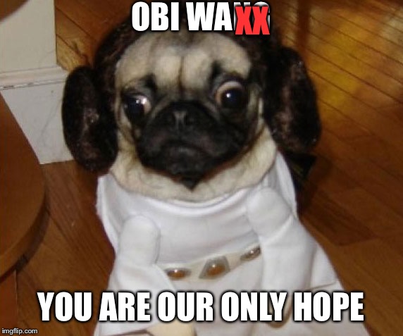 OBI WANG YOU ARE OUR ONLY HOPE XX | made w/ Imgflip meme maker