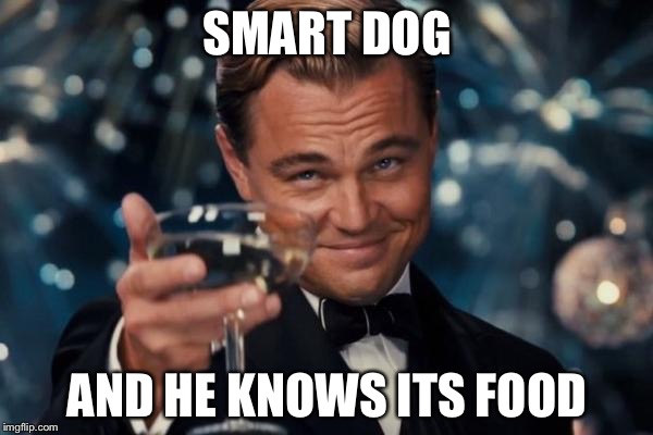 Leonardo Dicaprio Cheers Meme | SMART DOG AND HE KNOWS ITS FOOD | image tagged in memes,leonardo dicaprio cheers | made w/ Imgflip meme maker