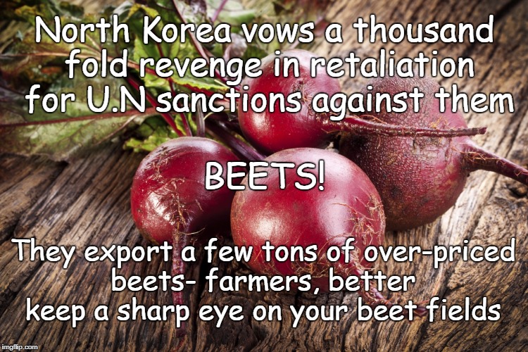 North Korean vengeance! | North Korea vows a thousand fold revenge in retaliation for U.N sanctions against them; BEETS! They export a few tons of over-priced beets- farmers, better keep a sharp eye on your beet fields | image tagged in beets,korean sanctions | made w/ Imgflip meme maker