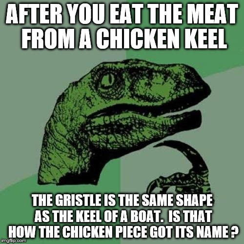 Philosoraptor Meme | AFTER YOU EAT THE MEAT FROM A CHICKEN KEEL; THE GRISTLE IS THE SAME SHAPE AS THE KEEL OF A BOAT.  IS THAT HOW THE CHICKEN PIECE GOT ITS NAME ? | image tagged in memes,philosoraptor | made w/ Imgflip meme maker