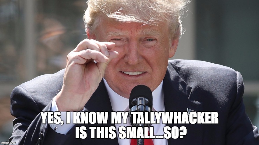 Trump Tallywhacker | YES, I KNOW MY TALLYWHACKER IS THIS SMALL...SO? | image tagged in donald trump | made w/ Imgflip meme maker