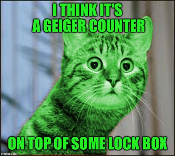 RayCat WTF | I THINK IT'S A GEIGER COUNTER ON TOP OF SOME LOCK BOX | image tagged in raycat wtf | made w/ Imgflip meme maker