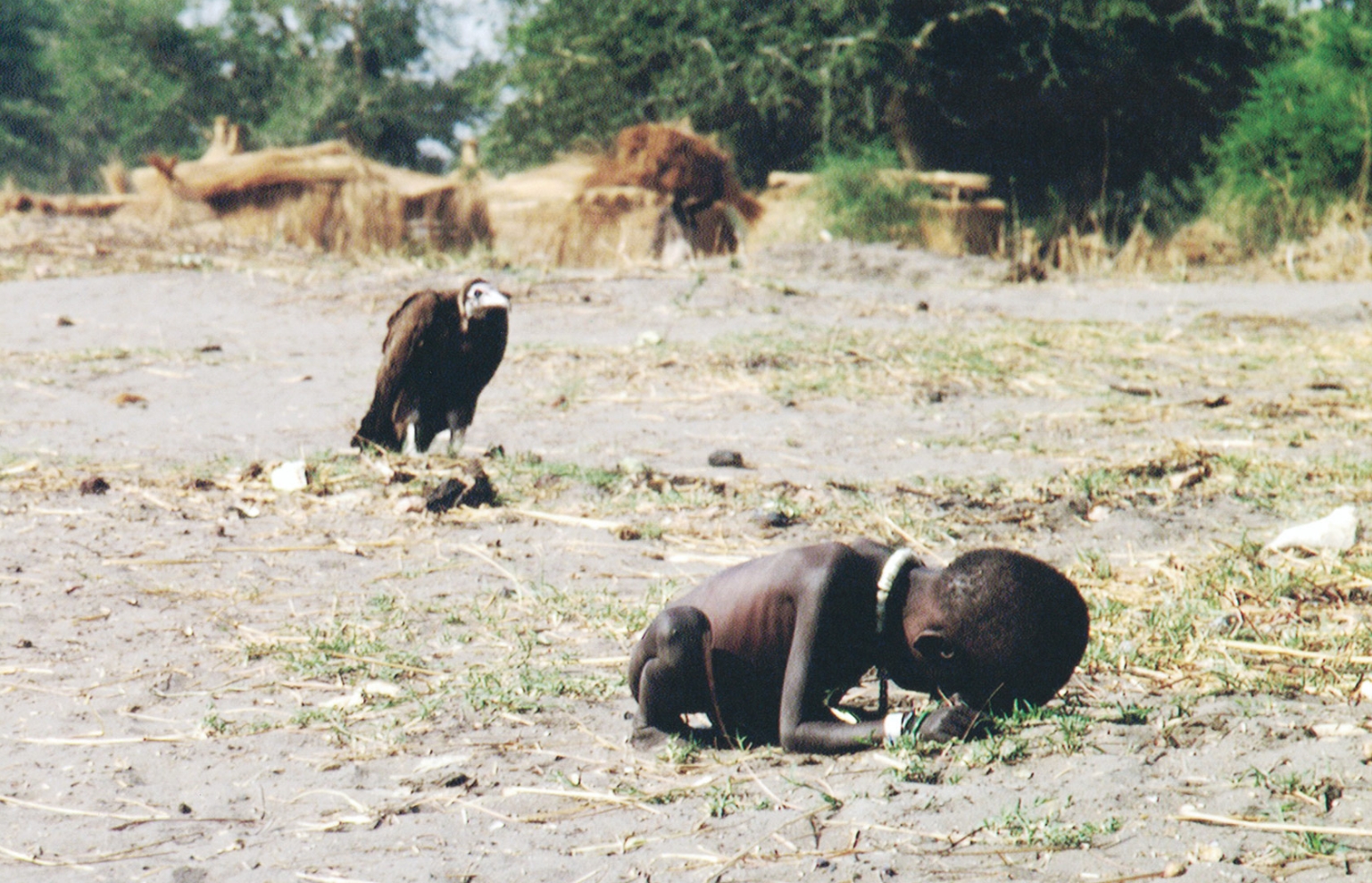 starving child and vulture Blank Meme Template