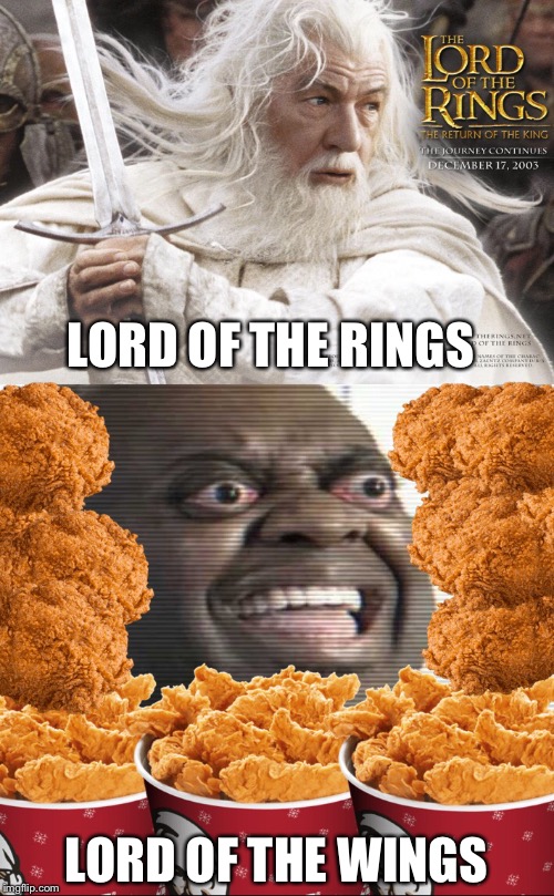 Very Noice. | LORD OF THE RINGS; LORD OF THE WINGS | image tagged in funny memes | made w/ Imgflip meme maker