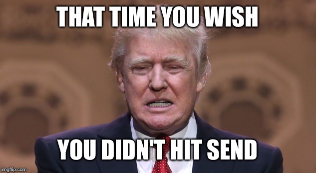 That time you wish you didn't hit send | THAT TIME YOU WISH; YOU DIDN'T HIT SEND | image tagged in donald trump | made w/ Imgflip meme maker