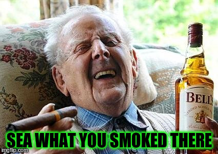 SEA WHAT YOU SMOKED THERE | made w/ Imgflip meme maker