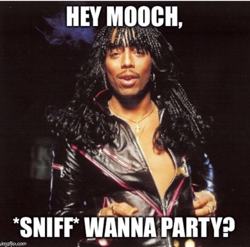 Rick James *sniff* wanna party? | image tagged in anthony scaramucci | made w/ Imgflip meme maker