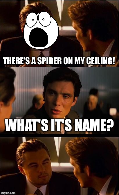 A conversation with my mom | THERE'S A SPIDER ON MY CEILING! WHAT'S IT'S NAME? | image tagged in memes,inception,spiders,terrified,funny,moms | made w/ Imgflip meme maker