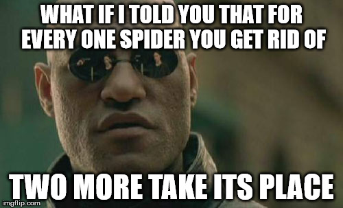 always feels like it | WHAT IF I TOLD YOU THAT FOR EVERY ONE SPIDER YOU GET RID OF; TWO MORE TAKE ITS PLACE | image tagged in matrix morpheus,what if i told you,spider,spiders | made w/ Imgflip meme maker