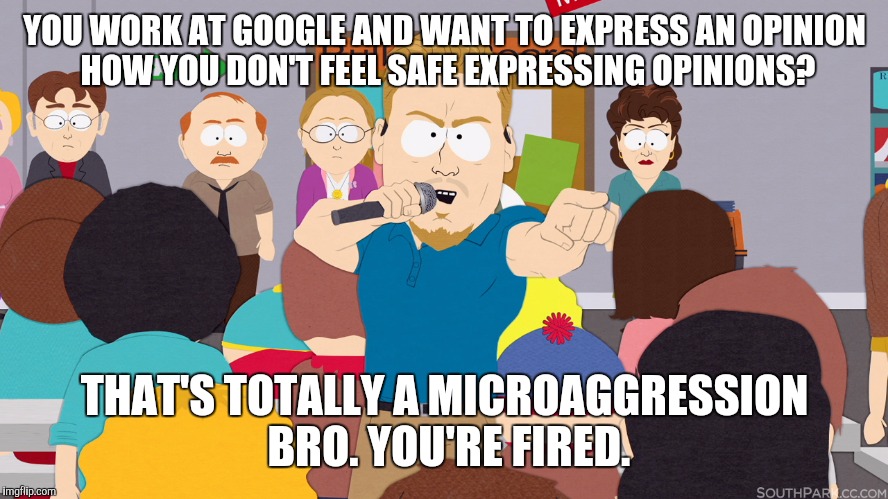 PC Principal | YOU WORK AT GOOGLE AND WANT TO EXPRESS AN OPINION HOW YOU DON'T FEEL SAFE EXPRESSING OPINIONS? THAT'S TOTALLY A MICROAGGRESSION BRO. YOU'RE FIRED. | image tagged in pc principal | made w/ Imgflip meme maker