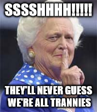 SSSSHHHH!!!!! THEY'LL NEVER GUESS WE'RE ALL TRANNIES | image tagged in tranny bush | made w/ Imgflip meme maker