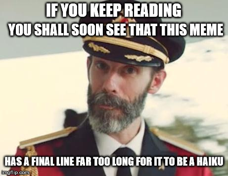 The captain is right;
This meme is not a haiku,
Though the title is.  | IF YOU KEEP READING; YOU SHALL SOON SEE THAT THIS MEME; HAS A FINAL LINE FAR TOO LONG FOR IT TO BE A HAIKU | image tagged in captain obvious,memes,haiku | made w/ Imgflip meme maker