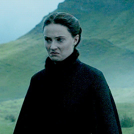 Sansa Blank Meme Template