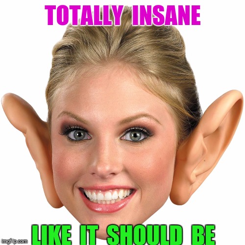 Memes, Big Ear Girl | TOTALLY  INSANE LIKE  IT  SHOULD  BE | image tagged in memes big ear girl | made w/ Imgflip meme maker