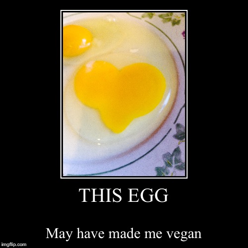 You've gotta love this egg... | image tagged in funny,demotivationals | made w/ Imgflip demotivational maker
