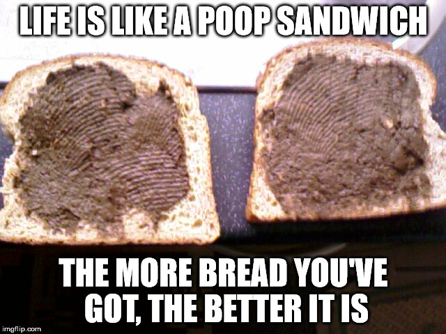 Money isn't everything, but it sure helps! | LIFE IS LIKE A POOP SANDWICH; THE MORE BREAD YOU'VE GOT, THE BETTER IT IS | image tagged in memes,poop | made w/ Imgflip meme maker