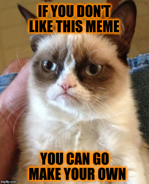 If you don't like this meme you can go  make your own | IF YOU DON'T LIKE THIS MEME; YOU CAN GO  MAKE YOUR OWN | image tagged in memes,grumpy cat,funny | made w/ Imgflip meme maker