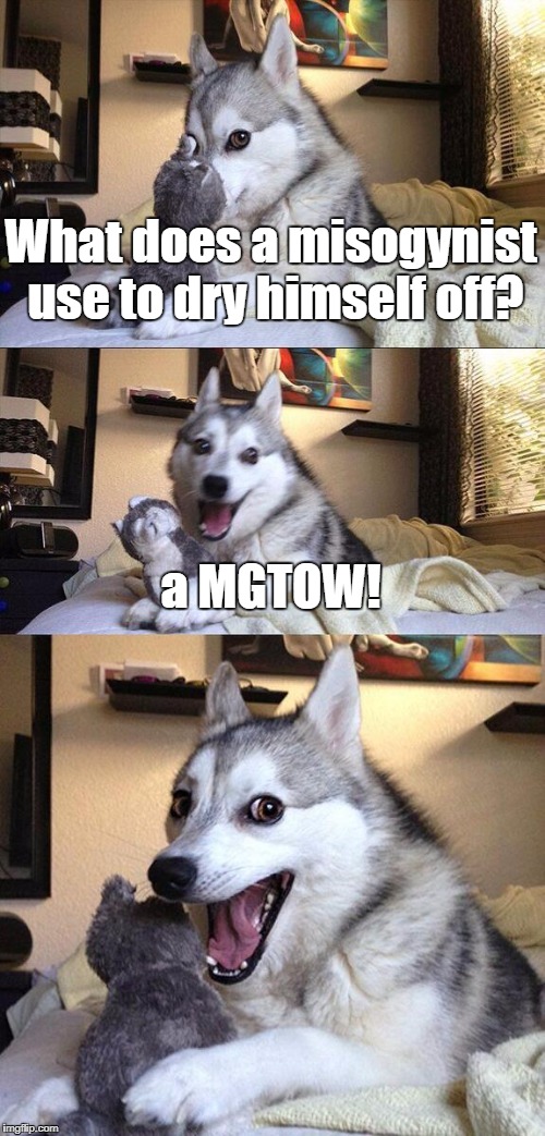 Bad Pun Dog | What does a misogynist use to dry himself off? a MGTOW! | image tagged in memes,bad pun dog | made w/ Imgflip meme maker