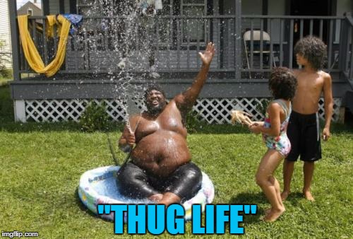 I almost bought a pool this summer...maybe next year! | "THUG LIFE" | image tagged in thug life,memes,summer,heat,funny,swimming pool | made w/ Imgflip meme maker