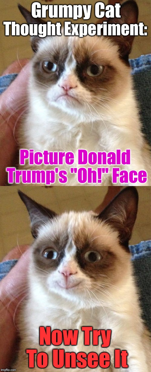 Brutal | Grumpy Cat; Thought Experiment:; Picture Donald Trump's "Oh!" Face; Now Try To Unsee It | image tagged in grumpy cat | made w/ Imgflip meme maker