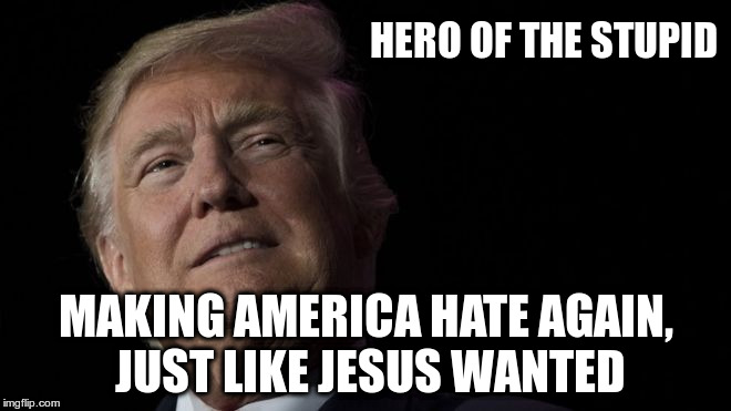 Hero? | HERO OF THE STUPID; MAKING AMERICA HATE AGAIN, JUST LIKE JESUS WANTED | image tagged in trump,republican,nazi,hate,fear,greed | made w/ Imgflip meme maker