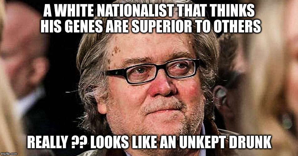 Bannon | A WHITE NATIONALIST THAT THINKS HIS GENES ARE SUPERIOR TO OTHERS; REALLY ?? LOOKS LIKE AN UNKEPT DRUNK | image tagged in white nationalist,republican,fascist,nazi,bum | made w/ Imgflip meme maker