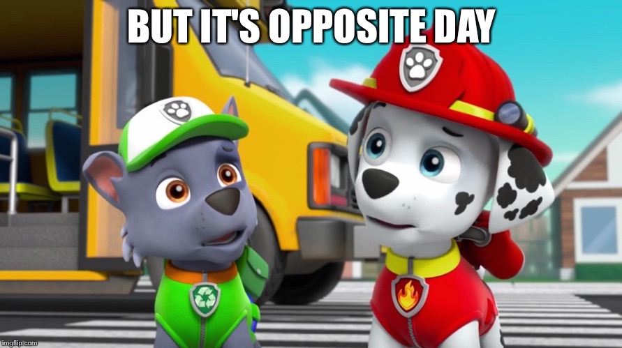 BUT IT'S OPPOSITE DAY | image tagged in make a meme,paw patrol | made w/ Imgflip meme maker