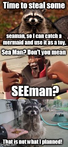 Evil plotting raccoon fail | Time to steal some; seaman, so I can catch a mermaid and use it as a toy. Sea Man? Don't you mean; SEEman? That is not what I planned! | image tagged in funny,epic fail,memes,team fortress 2,evil plotting raccoon | made w/ Imgflip meme maker