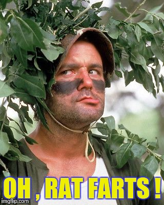 Bill Murray camouflaged | OH , RAT FARTS ! | image tagged in bill murray camouflaged | made w/ Imgflip meme maker
