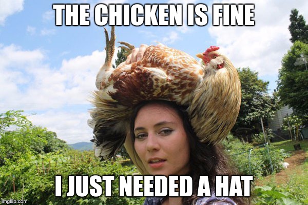 THE CHICKEN IS FINE I JUST NEEDED A HAT | made w/ Imgflip meme maker