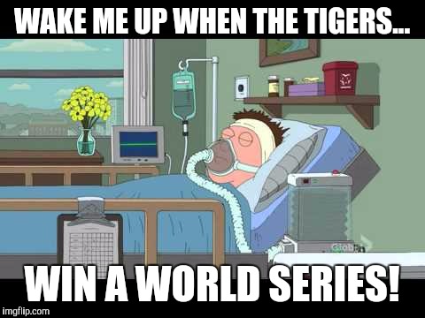 WAKE ME UP WHEN THE TIGERS... WIN A WORLD SERIES! | made w/ Imgflip meme maker