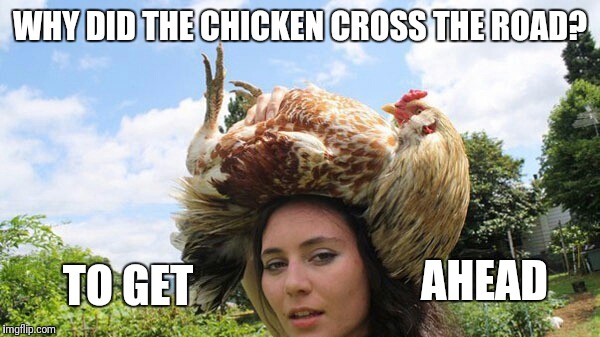 WHY DID THE CHICKEN CROSS THE ROAD? TO GET; AHEAD | image tagged in memes,funny,why the chicken cross the road | made w/ Imgflip meme maker